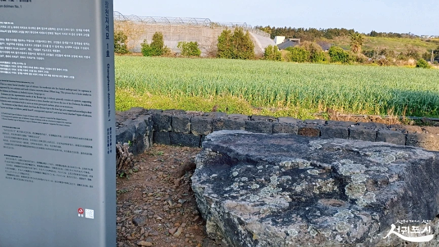 SE-108bb96e-6061-4ad7-83da-33eb34de8fea.jpg?type=w966