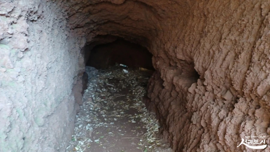 SE-e196a2a6-9ee8-4ef8-a0dc-d4a43996123d.jpg?type=w966