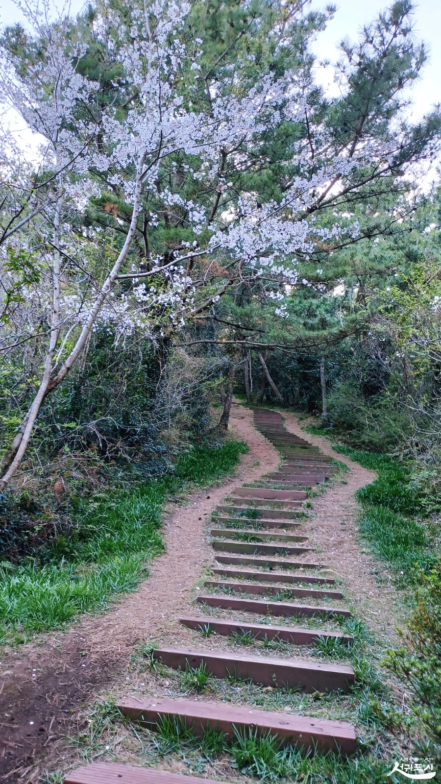 SE-5c5b6b3d-5a00-4e85-9351-bfa8f121c4fc.jpg?type=w966