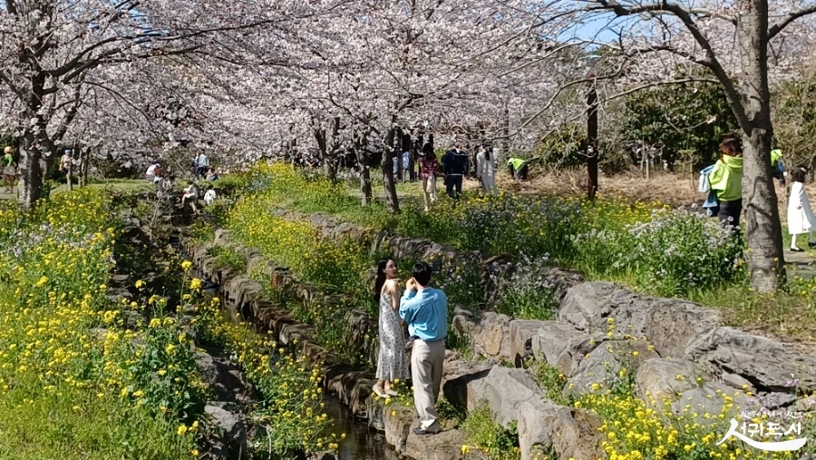 SE-9d50ad5d-f840-4614-8038-d929bef91b34.jpg?type=w966