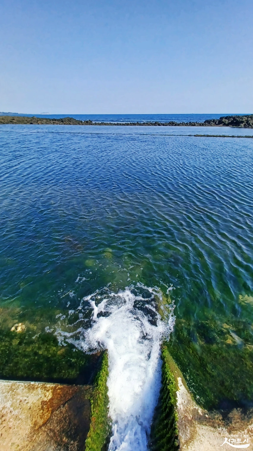 SE-91b5cea1-39ba-4f76-a7da-a0d70fb4245e.jpg?type=w966