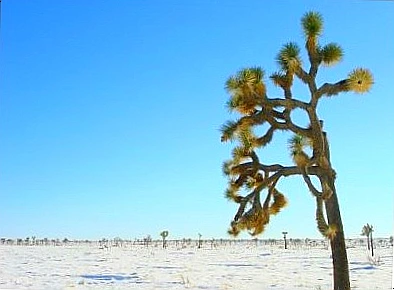 SE-2632b0f2-7b68-4ba4-a18a-d28427e6d37b.jpg?type=w966