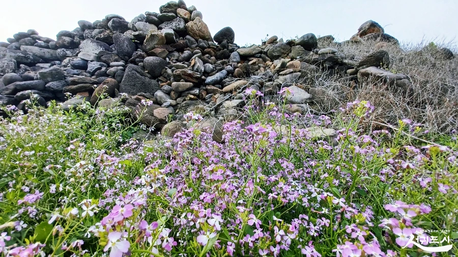 SE-ba11682e-802a-4e3f-a584-3fac0c8928f8.jpg?type=w966