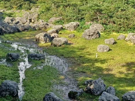 20230802%EF%BC%BF165604.jpg?type=w466