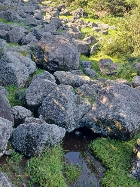 20230802%EF%BC%BF165741.jpg?type=w466