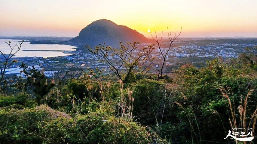 SE-bb672072-929f-4444-b3cc-2845fa9428f6.jpg?type=w966