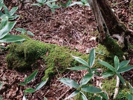 20230802%EF%BC%BF171200.jpg?type=w466