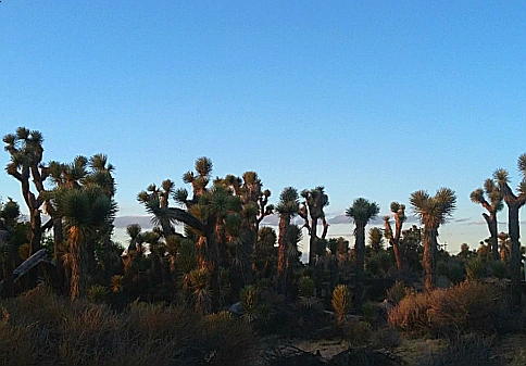 SE-303ca208-0409-400c-a15b-8a8f557b139b.jpg?type=w966