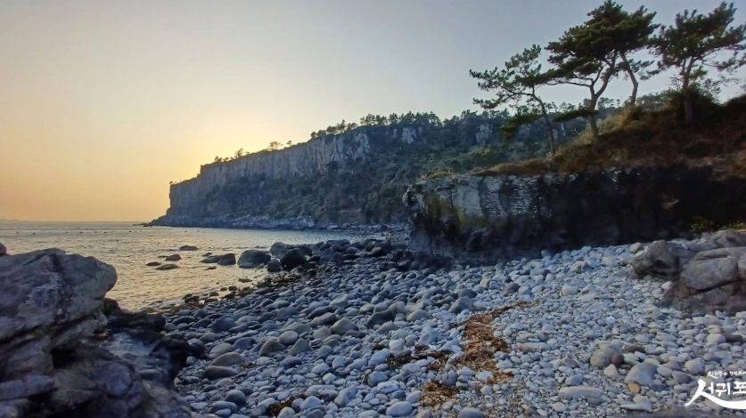 SE-5d79b0fb-1501-401f-a856-aa4e53df5ee8.jpg?type=w966