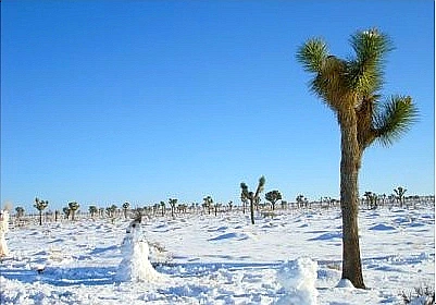 SE-f73131f8-ddbb-46a0-bc4a-9663402de0d4.jpg?type=w966