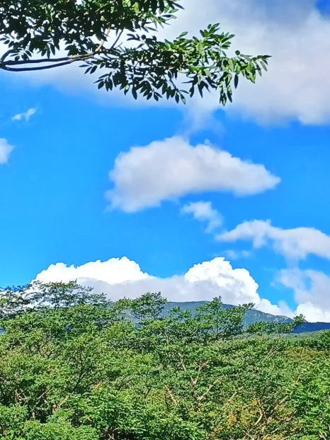 SE-b109a90f-31c6-11ee-bd5a-c90ce4e397e2.jpg?type=w466