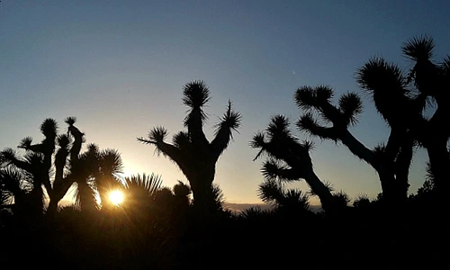 SE-e8602db7-ce69-400e-b581-2a0763eebb5e.jpg?type=w966