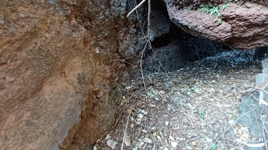 SE-c6ab95a4-1c9b-4ebd-83c5-b6562de4996e.jpg?type=w966