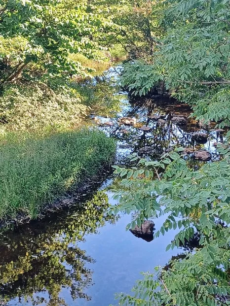 SE-b11011b2-31c6-11ee-bd5a-e9307ecb05cd.jpg?type=w466