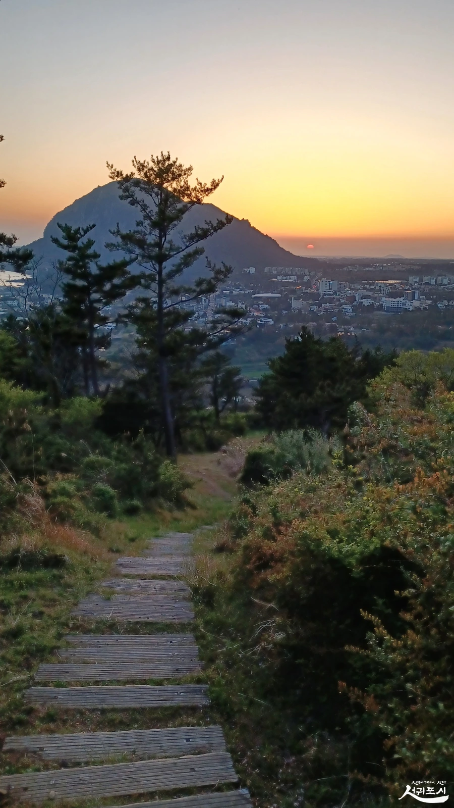 SE-fc631940-92da-440a-8b3c-fe808bd8912f.jpg?type=w966