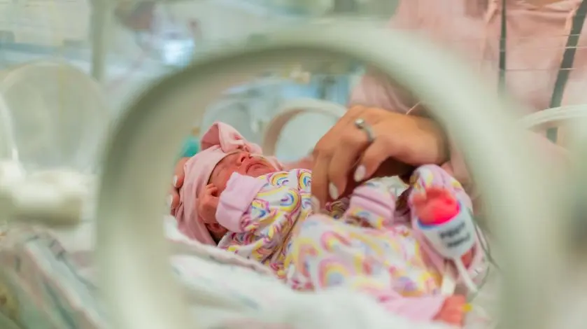 dsc_9047.jpg?VersionId=UV6CfW4Zhote1_Gf8veC.kE2jzEBq3e8&amp;h=5ee599f2&amp;itok=XaXRSxsI