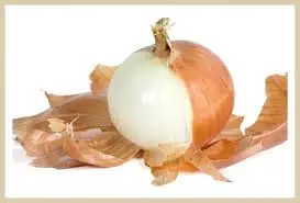 양파 껍질.jfif