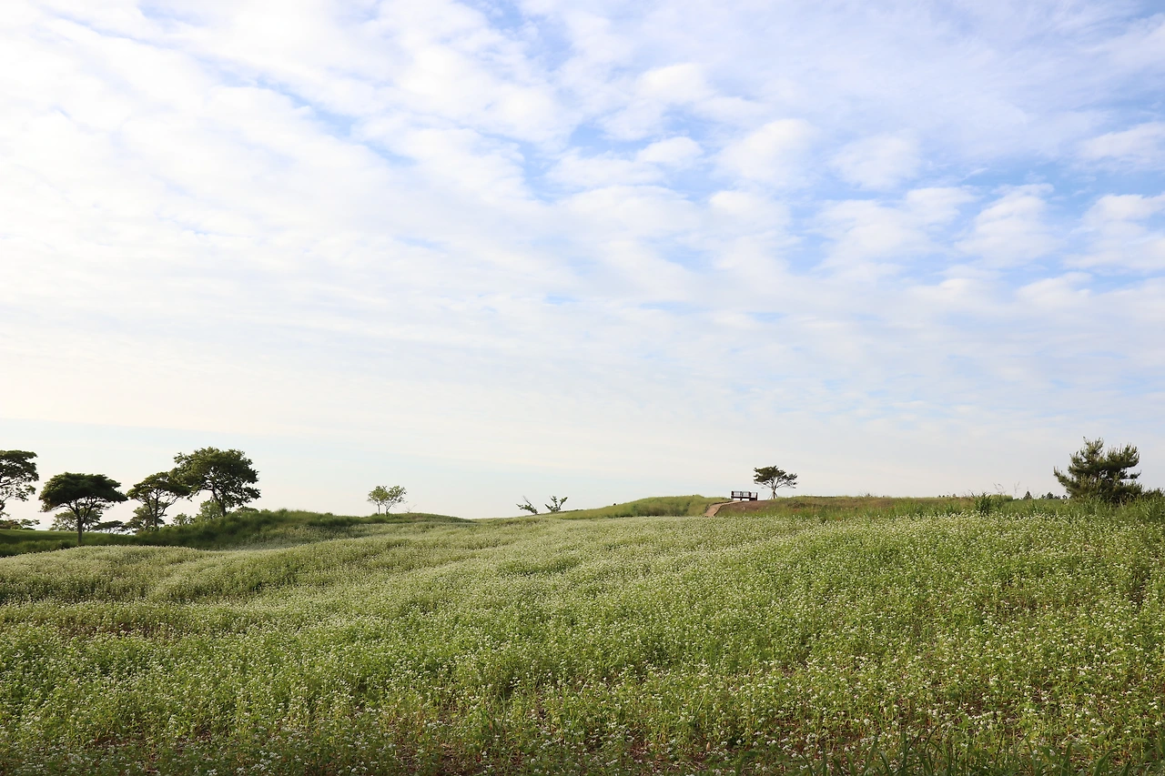 [사진14]_산책로 여름.JPG