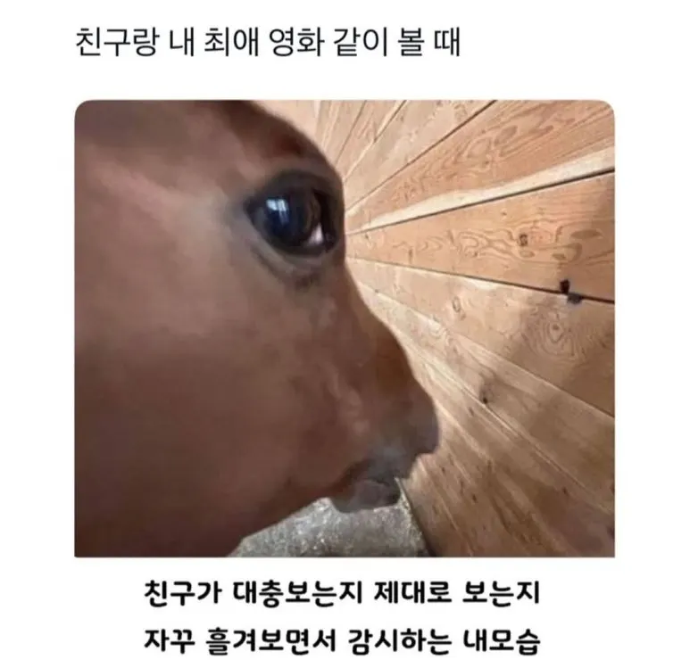 KakaoTalk_20250427_174117640_02.jpg?type=w773