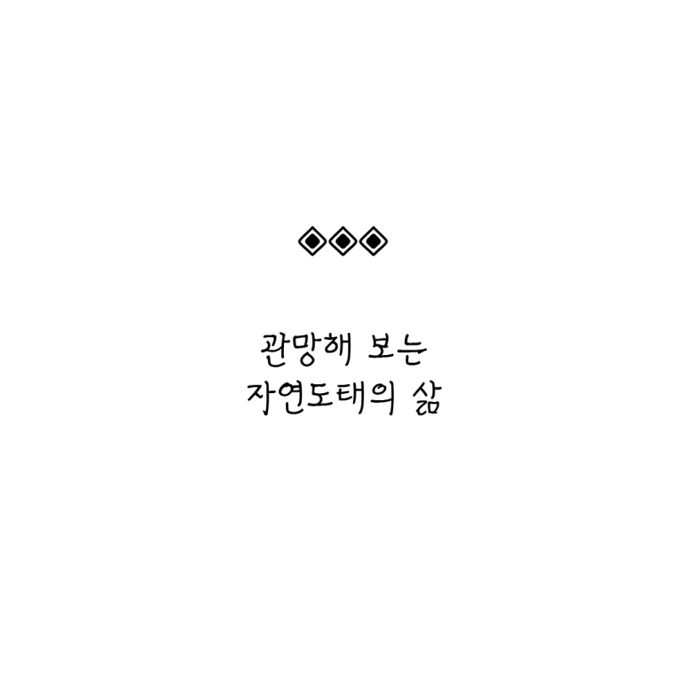 ESSAY154-002.png?type=w773