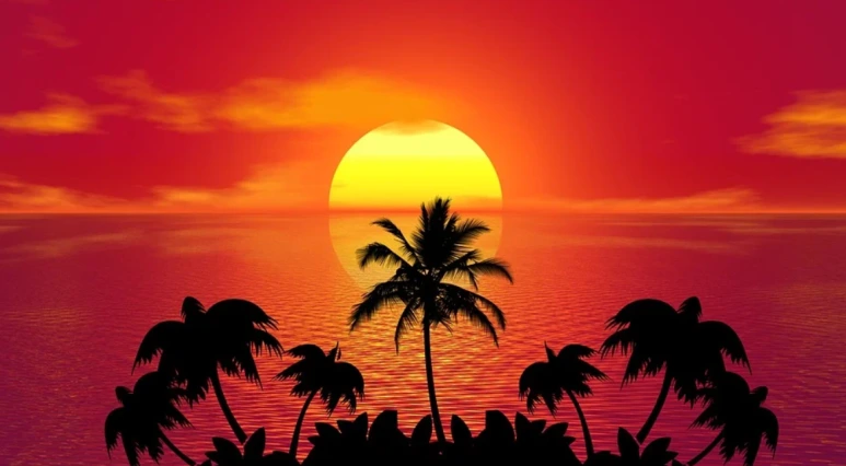 %ED%82%A4%EC%9C%84_1.PNG?type=w773