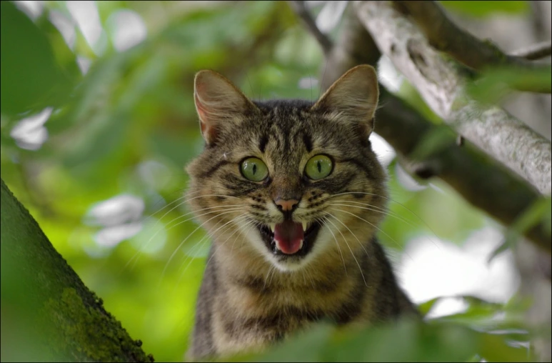 %EC%97%B0%EC%95%A0_%EC%B4%89_4.PNG?type=w773