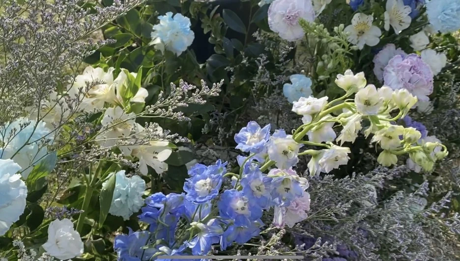 IMG_0362.jpg?type=w1