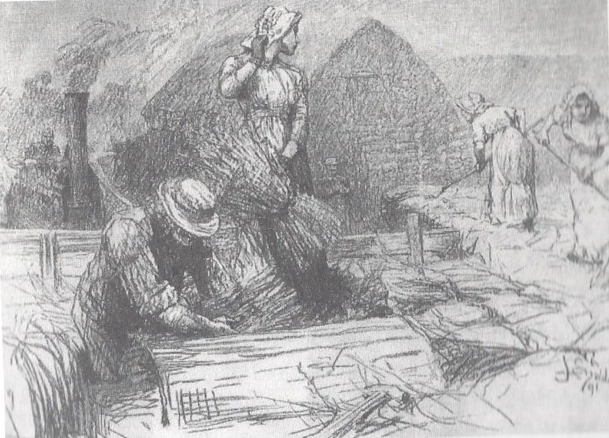 테스가 그래픽 지에 연재될 당시의삽화.jpeg