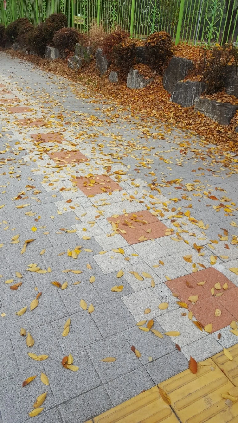 KakaoTalk_20211122_013300297.jpg?type=w773