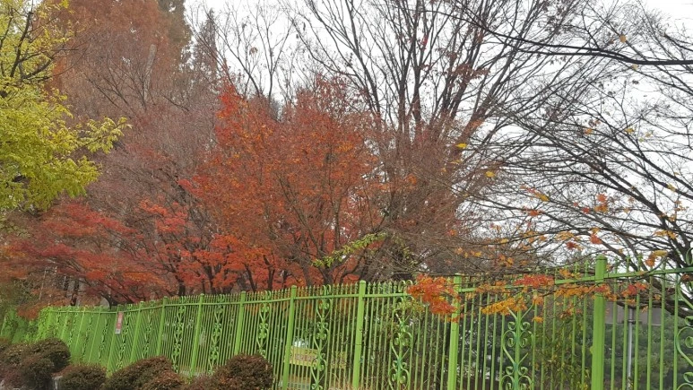 KakaoTalk_20211122_013300297_01.jpg?type=w773