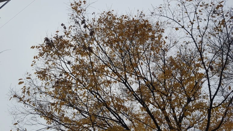 KakaoTalk_20211122_013300297_02.jpg?type=w773