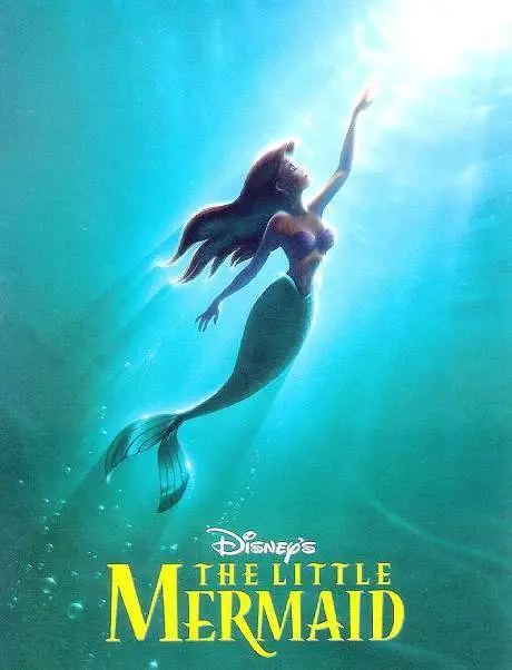 231B323550EA63102072B3