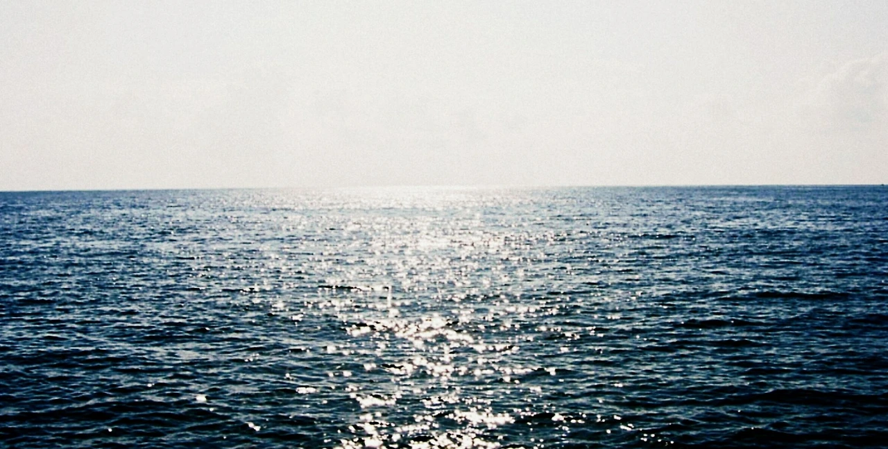 2020-08-11 23;20;36.PNG