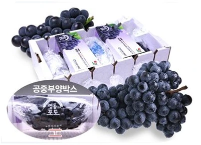 243BD65055D3E7350AF1B6