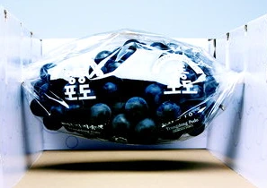 233FF85055D3E737068ADD