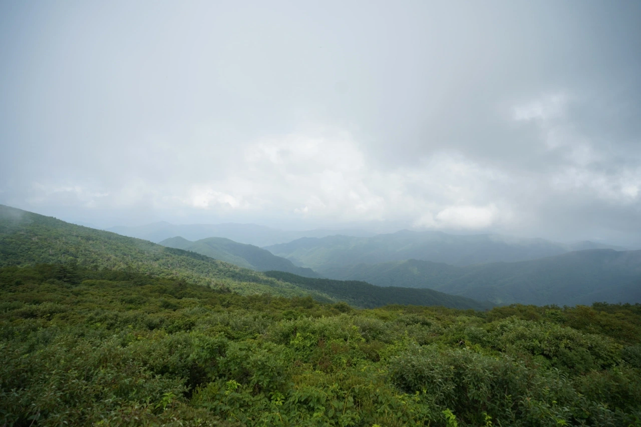 img.jpg?credential=yqXZFxpELC7KVnFOS48ylbz2pIh7yKj8&expires=1756652399&allow_ip=&allow_referer=&signature=b9uY9c3%2Btbo5p8W1ovcOOBbdjF4%3D