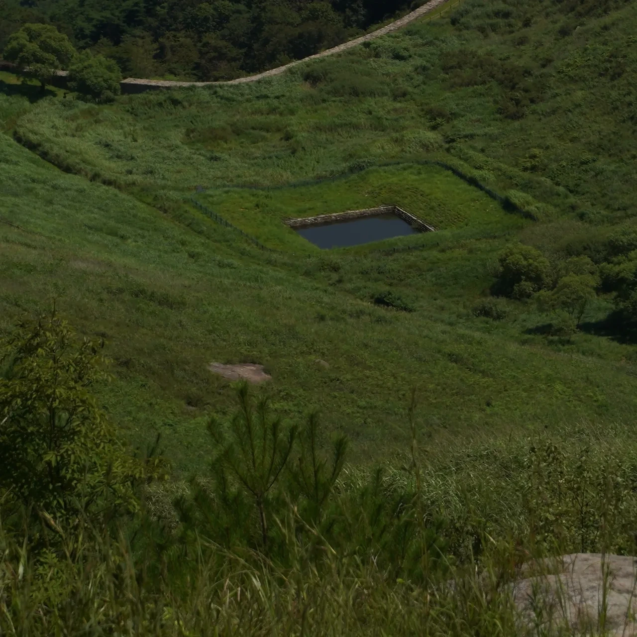 img.webp?credential=yqXZFxpELC7KVnFOS48ylbz2pIh7yKj8&expires=1753973999&allow_ip=&allow_referer=&signature=hVcpeDoKFQTAevWnoiYWeAFtN1U%3D