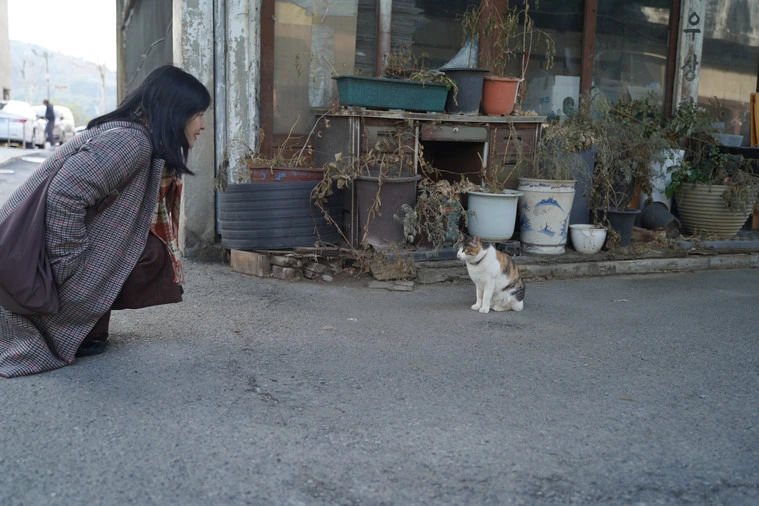 img.jpg?credential=yqXZFxpELC7KVnFOS48ylbz2pIh7yKj8&expires=1753973999&allow_ip=&allow_referer=&signature=N5aPic57%2BtlL%2BBuj7MHsE3BNKA0%3D