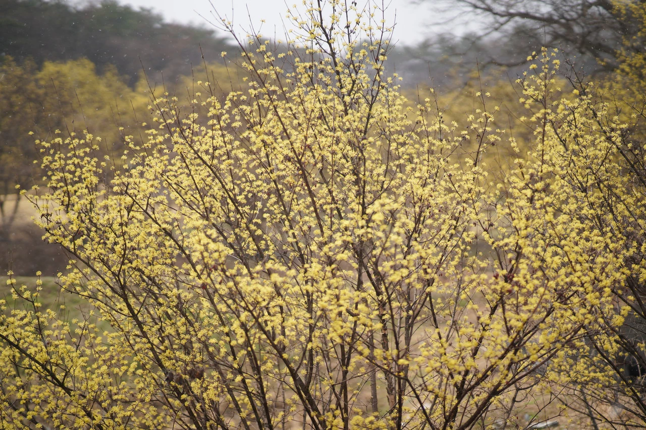 img.jpg?credential=yqXZFxpELC7KVnFOS48ylbz2pIh7yKj8&expires=1753973999&allow_ip=&allow_referer=&signature=6dpblBKFtvZayPUNwqNTjl6RrYM%3D