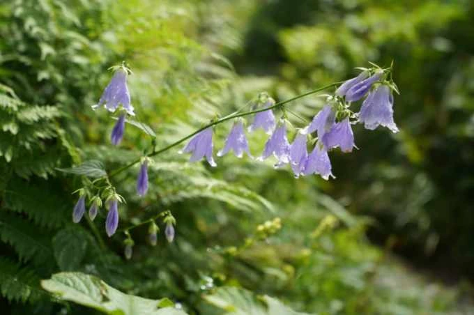 img.jpg?credential=yqXZFxpELC7KVnFOS48ylbz2pIh7yKj8&expires=1756652399&allow_ip=&allow_referer=&signature=LnYzkTktnCeAIqOyN4vT67r6JxE%3D