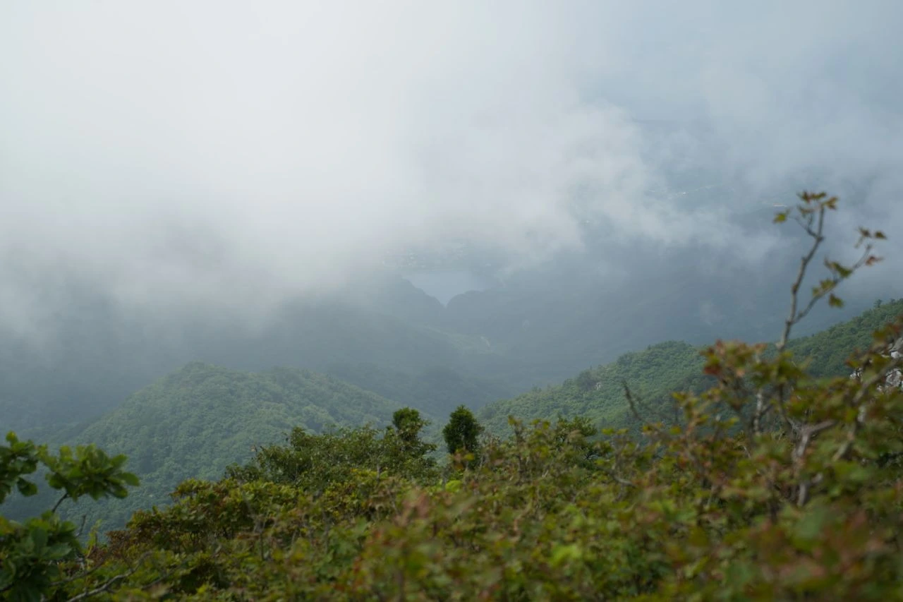 img.jpg?credential=yqXZFxpELC7KVnFOS48ylbz2pIh7yKj8&expires=1756652399&allow_ip=&allow_referer=&signature=AmGfbK75ev9SY%2BZsFmP0m0QafrA%3D