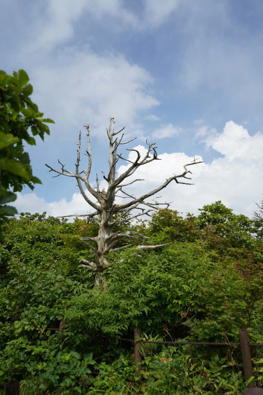 img.jpg?credential=yqXZFxpELC7KVnFOS48ylbz2pIh7yKj8&expires=1756652399&allow_ip=&allow_referer=&signature=USAkZ%2BYaaed1OJaVT1%2F%2FYr9%2FFUM%3D