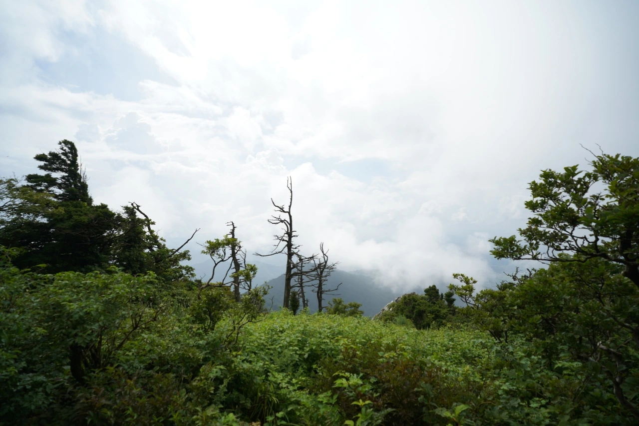 img.jpg?credential=yqXZFxpELC7KVnFOS48ylbz2pIh7yKj8&expires=1756652399&allow_ip=&allow_referer=&signature=m8EZk0q1ztxgr54Wbor6UPP%2Baow%3D