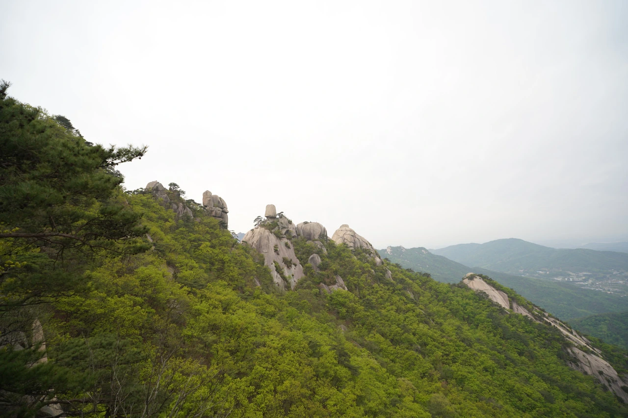 img.jpg?credential=yqXZFxpELC7KVnFOS48ylbz2pIh7yKj8&expires=1753973999&allow_ip=&allow_referer=&signature=L7%2BAmtix075xmAlrnrAoVbmwu5c%3D