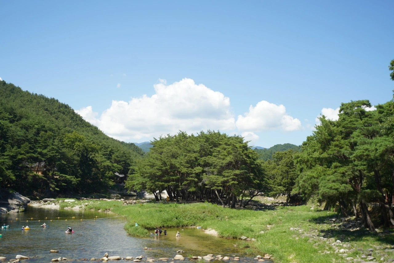 img.jpg?credential=yqXZFxpELC7KVnFOS48ylbz2pIh7yKj8&expires=1756652399&allow_ip=&allow_referer=&signature=UXPO3ChTlQhJ%2FUYOzQLDEFAJ3P0%3D