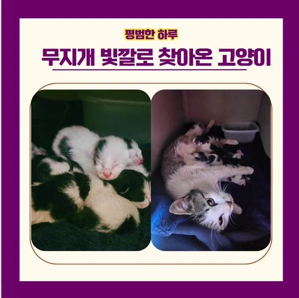 20250319_232854.jpg?type=w773