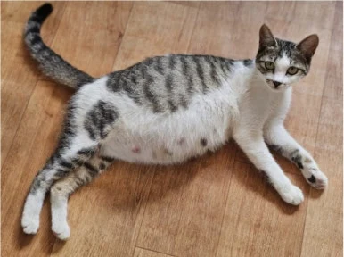 SE-952a8749-0aa3-48d2-acc6-d233cc368f26.jpg?type=w386