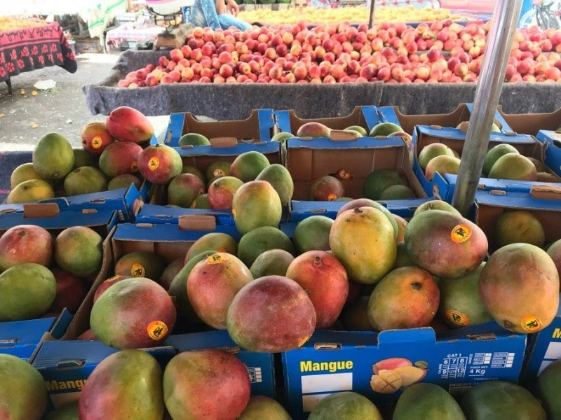 모로코 과일 2.jpeg