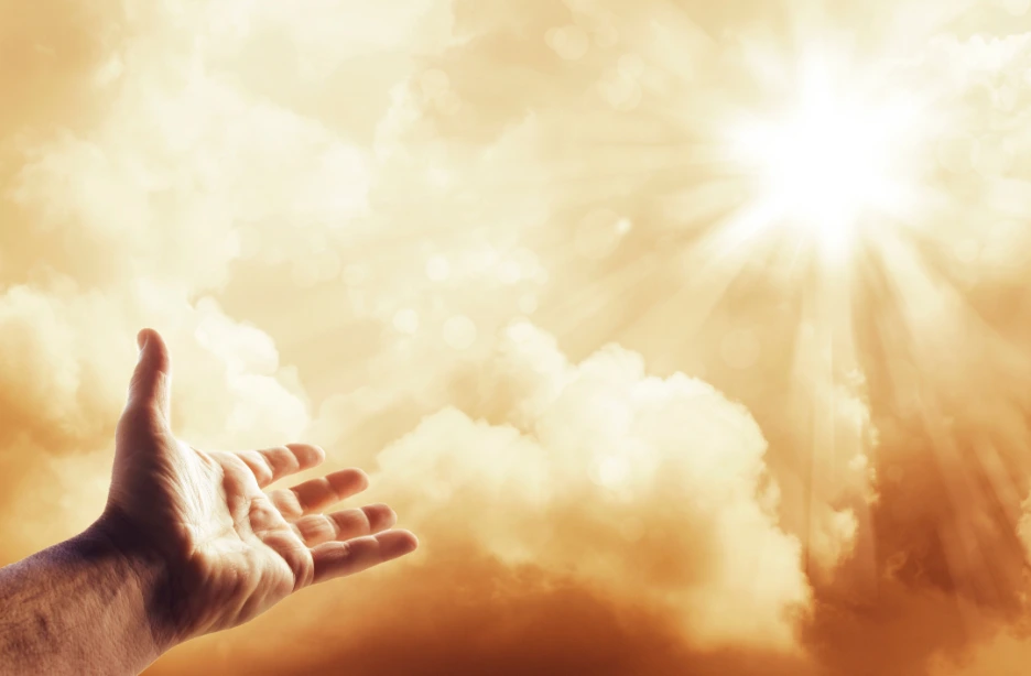 SE-20caed0a-25f4-4ec6-92d3-3a9996b5272c.png?type=w1