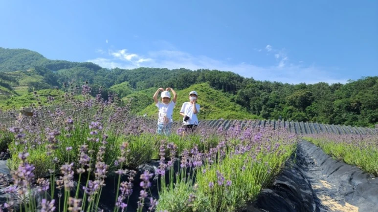 20210620%EF%BC%BF095400.jpg?type=w773